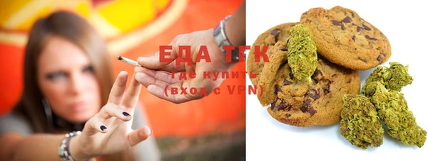 тгк Алзамай