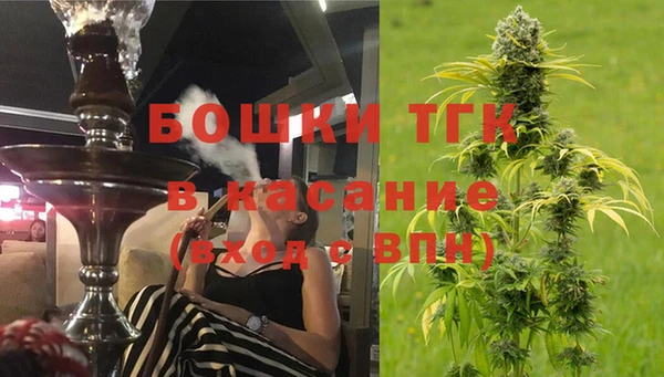тгк Алзамай