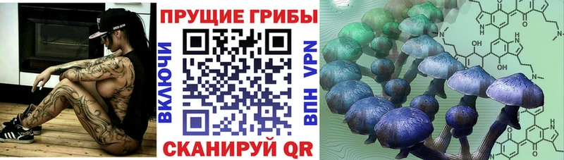 Псилоцибиновые грибы MAGIC MUSHROOMS  блэк спрут как войти  Томск 
