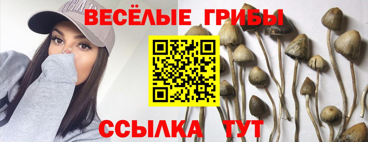 Галлюциногенные грибы GOLDEN TEACHER  Псилоцибиновые грибы мицелий  Томск  закладки  Вход с VPN 